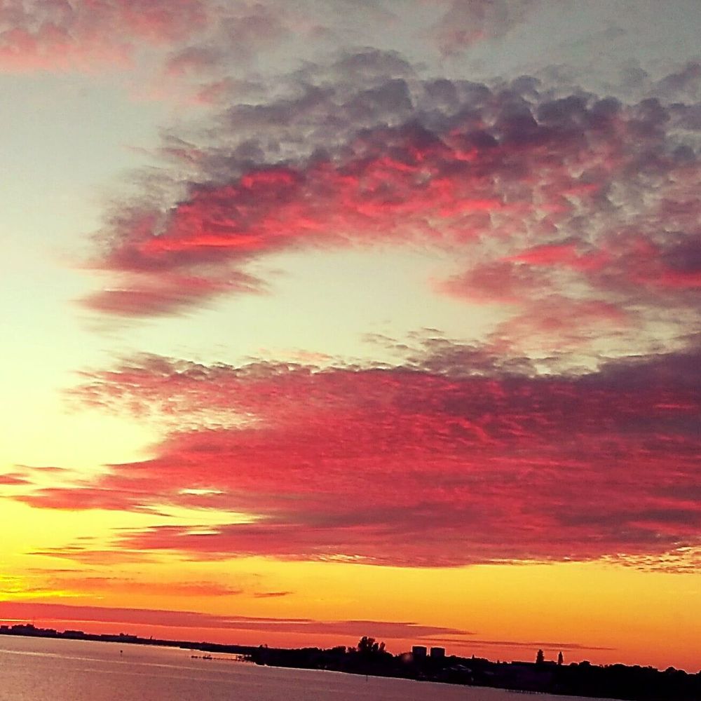 Meet your Posher, Stella